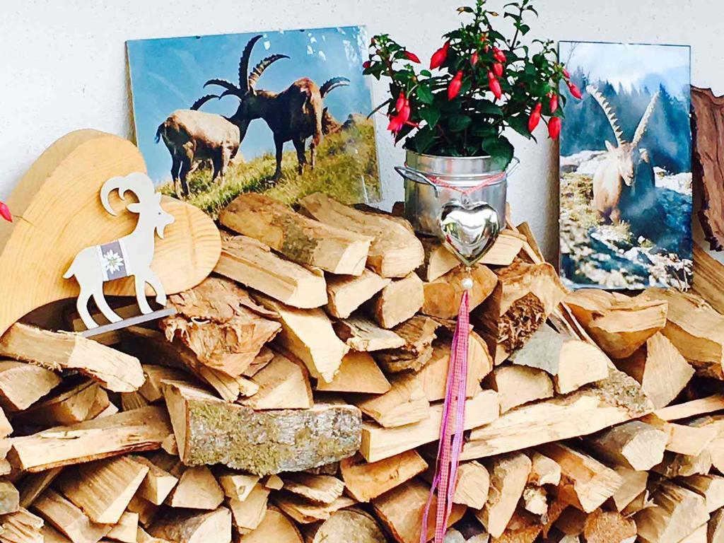 Steinbock Bed & Breakfast Fischen im Allgaeu Zewnętrze zdjęcie